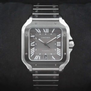 Cartier Santos De Cartier WSSA0037