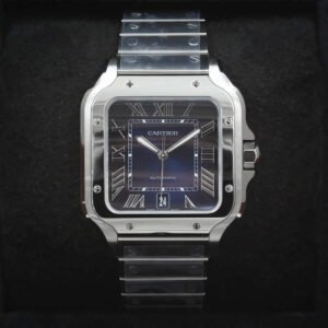 Cartier Santos WSSA0071 Blue